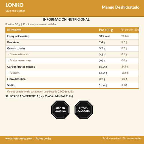 Mango Deshidratado - Frutos Lonko (2)