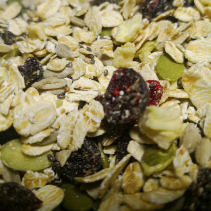 Mix Desayuno Lonko - Frutos Lonko