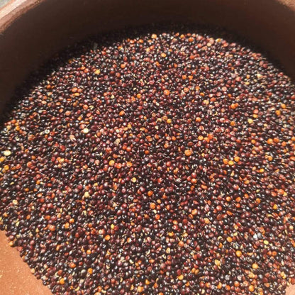 Quinoa Negra - Frutos Lonko