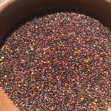 Quinoa Negra