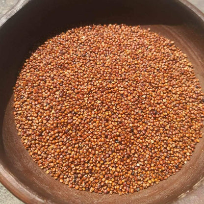Quinoa Roja - Frutos Lonko