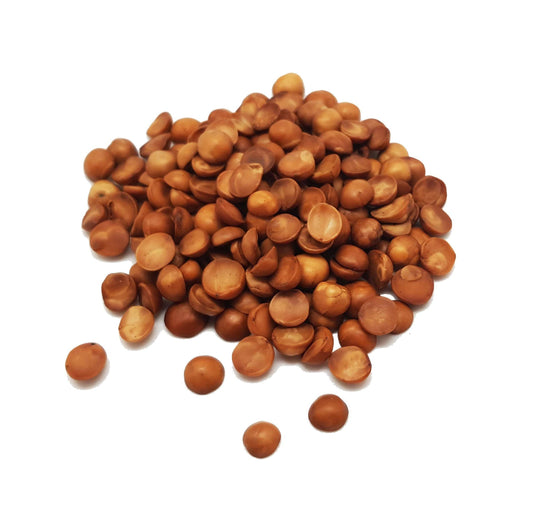 Avellanas Chilenas Tostadas